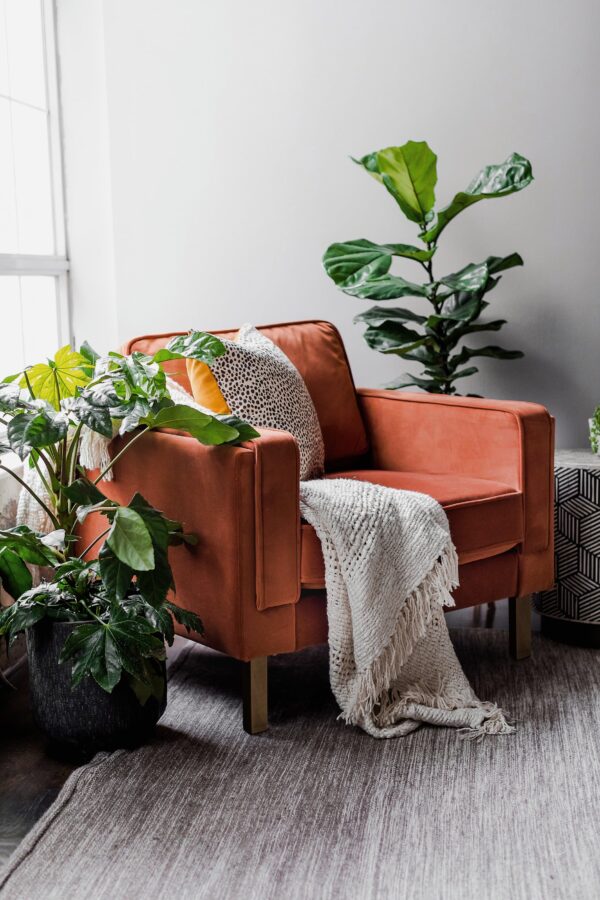 Albany Velvet Armchair (Rust)