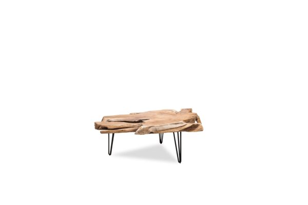 Nala Coffee Table