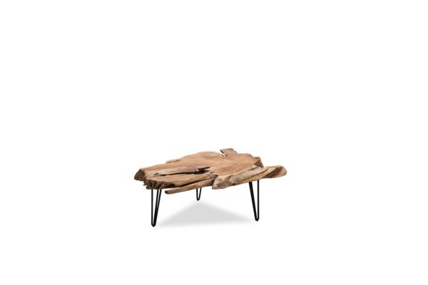 Nala Coffee Table