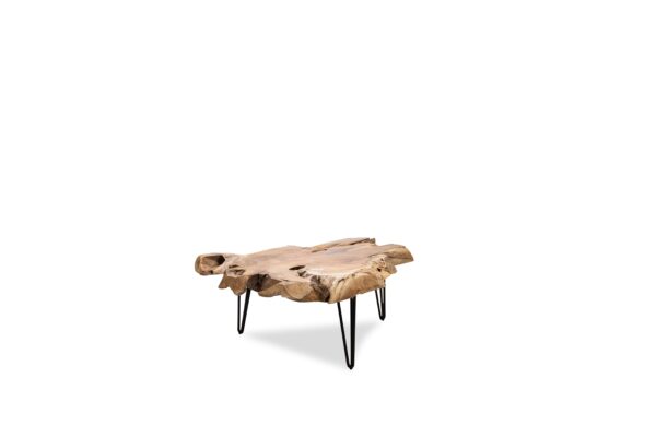 Nala Coffee Table