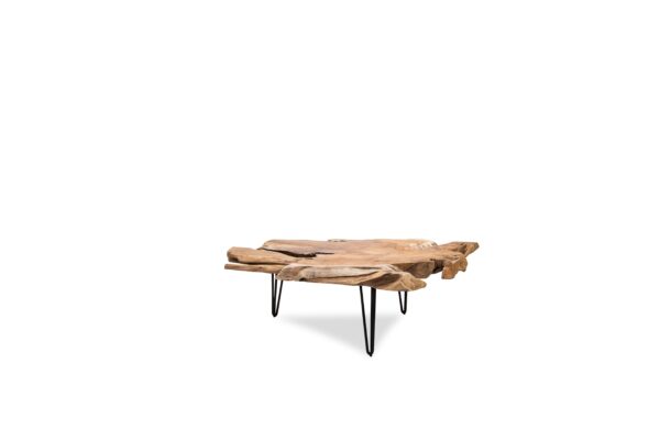 Nala Coffee Table