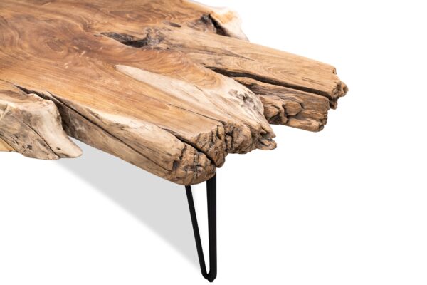 Nala Coffee Table