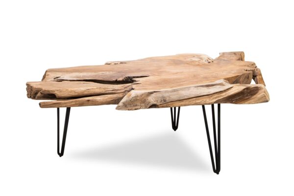 Nala Coffee Table