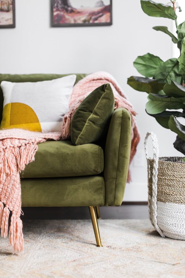 Park Sofa (Olive Velvet)